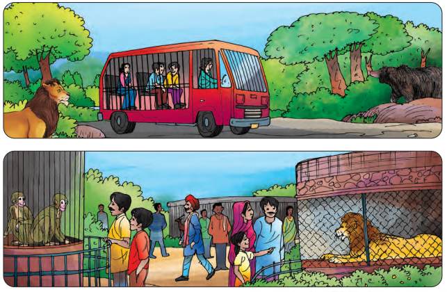 Class 7 Hindi Chapter 9 Question Answer चिड़िया 8