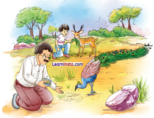 Class 7 Sanskrit Chapter 2 Hindi Translation नित्यं पिबामः सुभाषितरसम् Summary 9