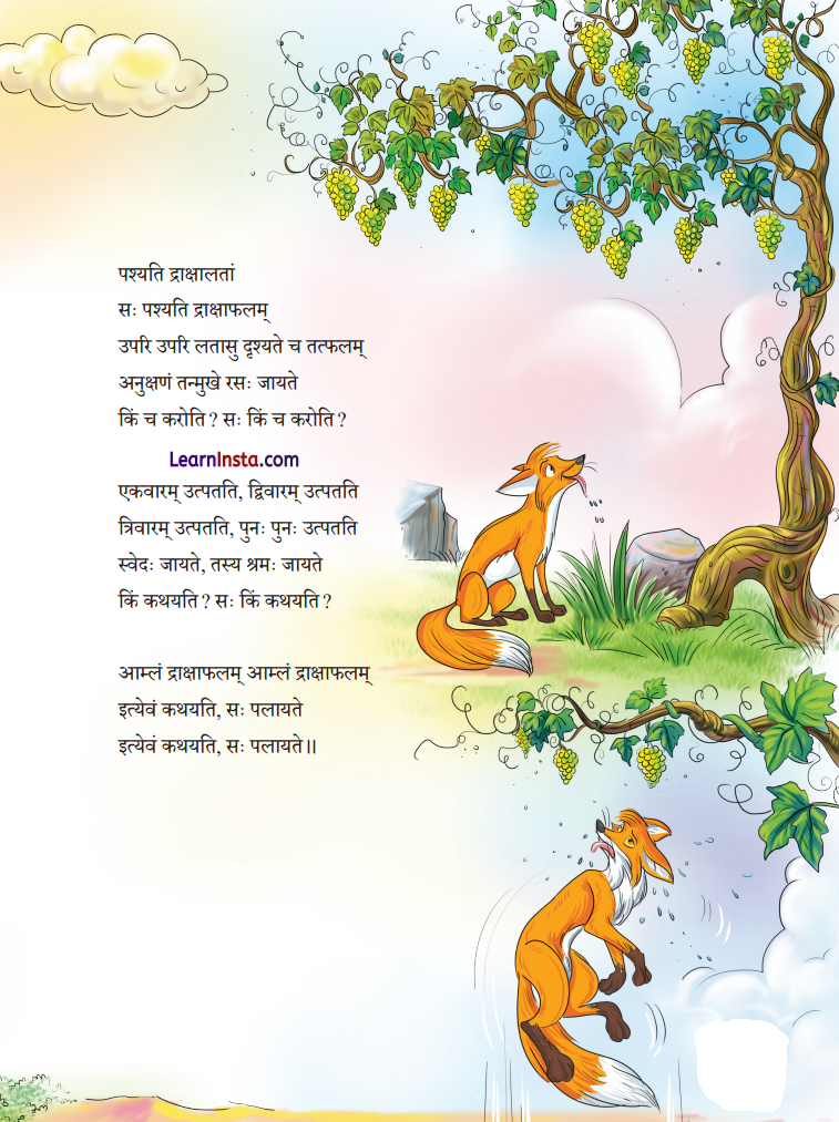 Class 7 Sanskrit Chapter 4 Hindi Translation न लभ्यते चेत् आम्लं द्राक्षाफलम् Summary 3