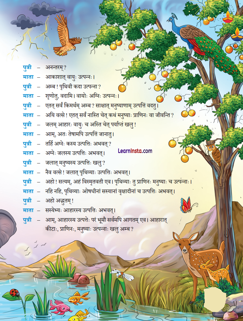 Class 7 Sanskrit Chapter 9 Hindi Translation अन्नाद् भवन्ति भूतानि Summary 2
