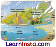 Climates of India Class 7 Notes Social Science Chapter 3 Img 3
