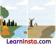 Climates of India Class 7 Notes Social Science Chapter 3 Img 5