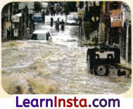 Climates of India Class 7 Notes Social Science Chapter 3 Img 7