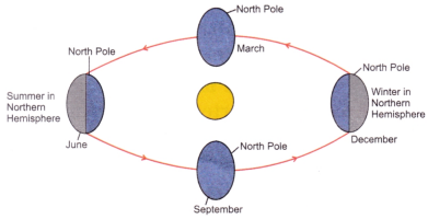 Earth Moon and the Sun Class 7 Extra Questions and Answers Science Chapter 12 1