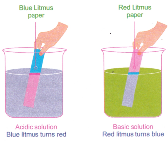 Exploring Substances Acidic Basic and Neutral Class 7 Notes Science Chapter 2 1