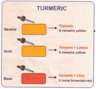 Exploring Substances Acidic Basic and Neutral Class 7 Notes Science Chapter 2 3