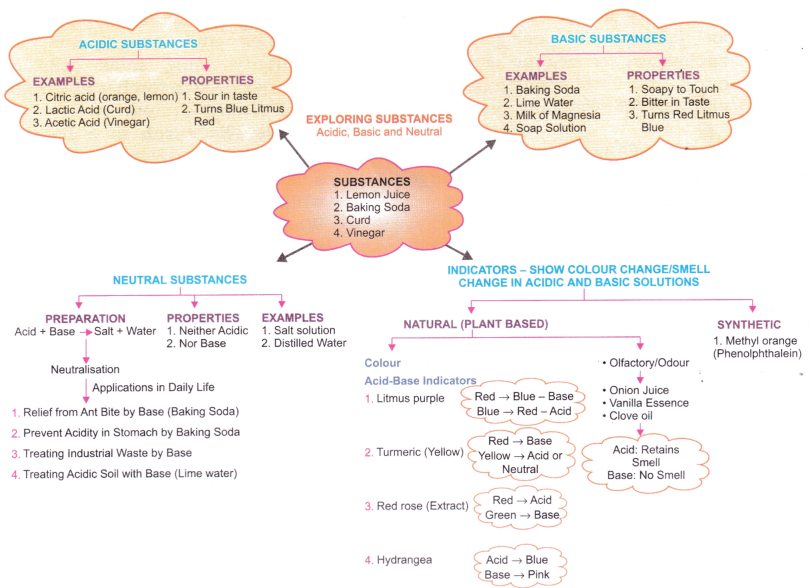 Exploring Substances Acidic Basic and Neutral Class 7 Notes Science Chapter 2 4