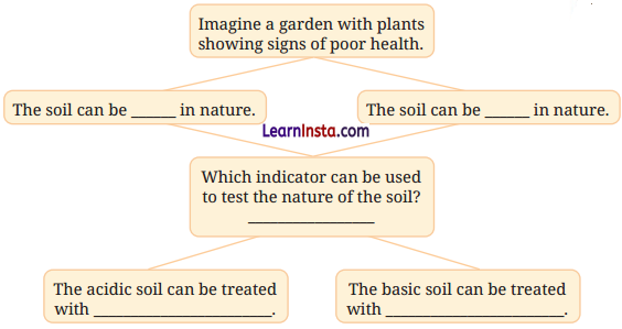 Exploring Substances Acidic Basic and Neutral Class 7 Questions and Answers Science Chapter 2-2
