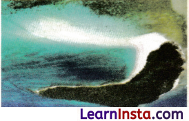 Geographical Diversity of India Class 7 Notes Social Science Chapter 1 Img 10