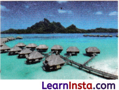 Geographical Diversity of India Class 7 Notes Social Science Chapter 1 Img 11