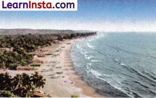 Geographical Diversity of India Class 7 Notes Social Science Chapter 1 Img 8