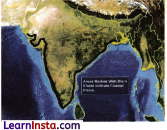 Geographical Diversity of India Class 7 Notes Social Science Chapter 1 Img 9