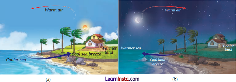 Heat Transfer in Nature Class 7 Questions and Answers Science Chapter 7 - 4