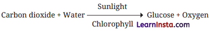 Life Processes in Plants Class 7 Questions and Answers Science Chapter 10 - 15