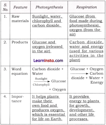 Life Processes in Plants Class 7 Questions and Answers Science Chapter 10 - 2