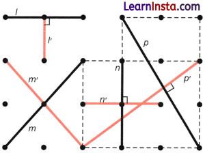 Parallel and Intersecting Lines Class 7 Solutions Ganita Prakash Maths Chapter 5 Page 113 Q1.1
