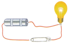 The Ever Evolving World of Science Class 7 Notes Science Chapter 1 2