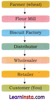 Understanding Markets Class 7 Questions and Answers Social Science Chapter 12 Img 4