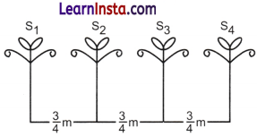 Working with Fractions Class 7 Solutions Ganita Prakash Maths Chapter 8 Page 183 Q4
