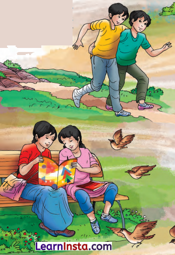 चिड़िया Class 7 Summary Explanation in Hindi Chapter 9 3