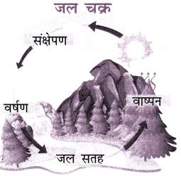 पानी रे पानी Class 7 Extra Question Answer Hindi Chapter 4 1