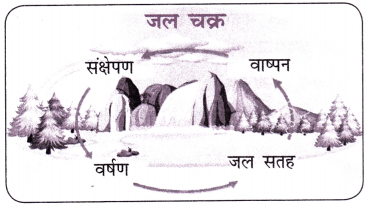 पानी रे पानी Class 7 Extra Question Answer Hindi Chapter 4 2