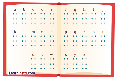 Braille Class 4 Summary in English 2