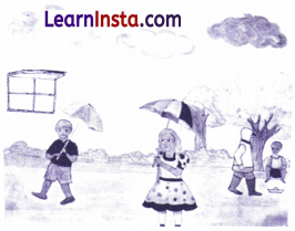 Class 3 English Writing Skills, Unseen Passages Worksheet with Answers 3