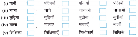 Class 3 Hindi Grammar Worksheet with Answers व्याकरण 11