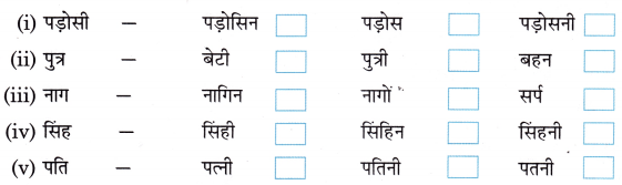 Class 3 Hindi Grammar Worksheet with Answers व्याकरण 8