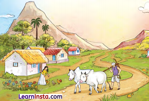 Class 4 Hindi Chapter 1 Question Answer चिड़िया का गीत 13
