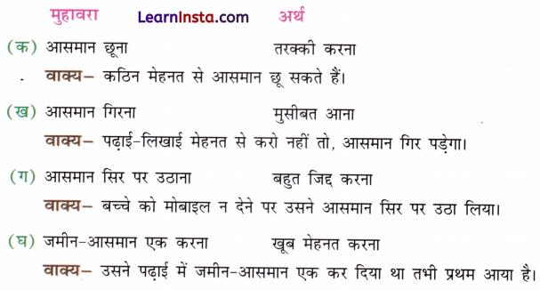 Class 4 Hindi Chapter 5 Question Answer आसमान गिरा 4