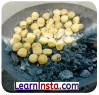 Class 4 Hindi Chapter 6 Question Answer जयपुर से पत्र 2