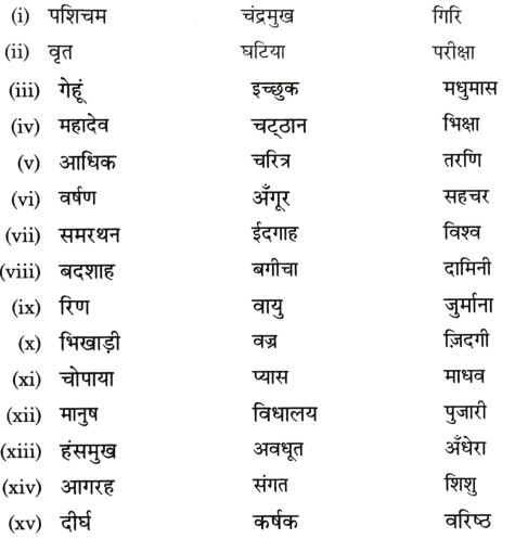 Class 4 Hindi Grammar Worksheet with Answers व्याकरण 6