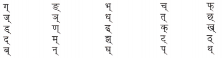Class 6 Sanskrit Grammar Worksheet with Answers व्याकरण 1