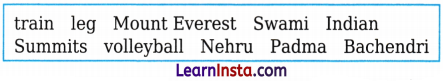 Conquering the Summit MCQ Class 7 English Chapter 12 1