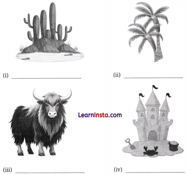 Different Lands, Different Lives Class 4 Worksheet with Answers EVS Chapter 9 2