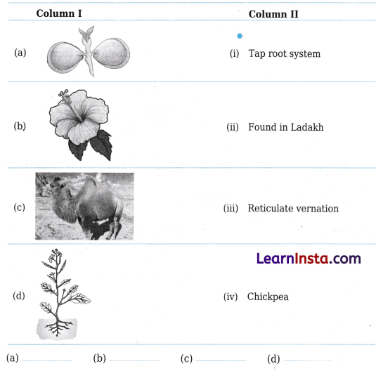 Diversity in the Living World Class 6 Worksheet with Answers Science Chapter 2 1