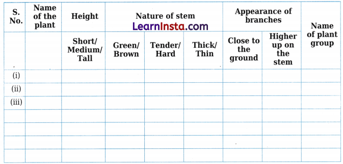 Diversity in the Living World Class 6 Worksheet with Answers Science Chapter 2 3