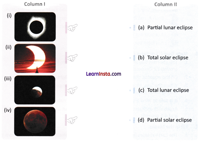 Earth Moon and the Sun Class 7 Worksheet with Answers Science Chapter 12 1
