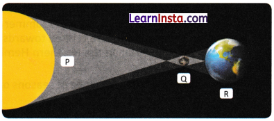 Earth Moon and the Sun Class 7 Worksheet with Answers Science Chapter 12 2