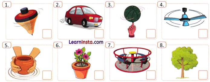 Earth Moon and the Sun Class 7 Worksheet with Answers Science Chapter 12 6