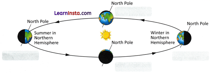 Earth Moon and the Sun Class 7 Worksheet with Answers Science Chapter 12 9
