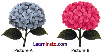 Exploring Substances Acidic Basic and Neutral Class 7 Worksheet with Answers Science Chapter 2 7