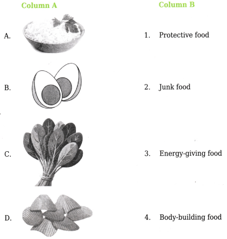 Food for Health Class 4 Worksheet with Answers EVS Chapter 5 1