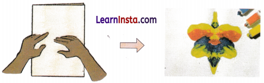 Fun with Symmetry Class 4 Solutions Question Answer Maths Chapter 11 2