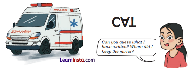 Fun with Symmetry Class 4 Solutions Question Answer Maths Chapter 11 20