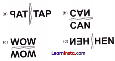 Fun with Symmetry Class 4 Solutions Question Answer Maths Chapter 11 23