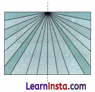 Fun with Symmetry Class 4 Solutions Question Answer Maths Chapter 11 5