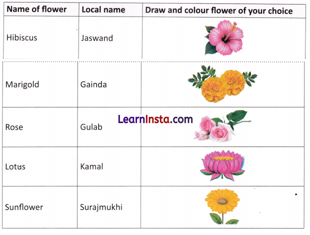 Growing up with Nature Class 4 Question Answer EVS Chapter 4 2